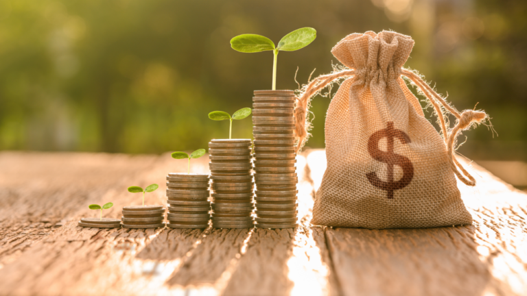 Adobe Stock - Money growing